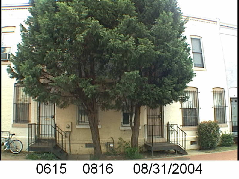 photo of 50 Bates Street in 2004